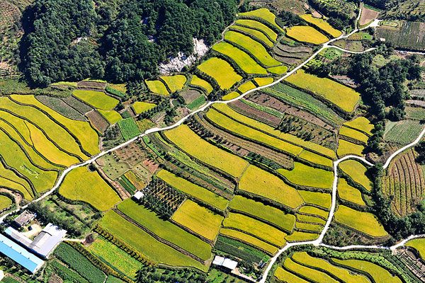 農(nóng)田新新新新.jpg