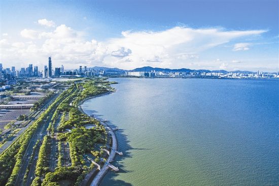 深圳.jpg